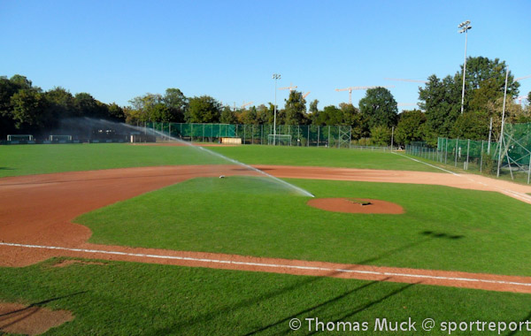 Baseball League Austria 2019 - Splits bei allen vier Paarungen