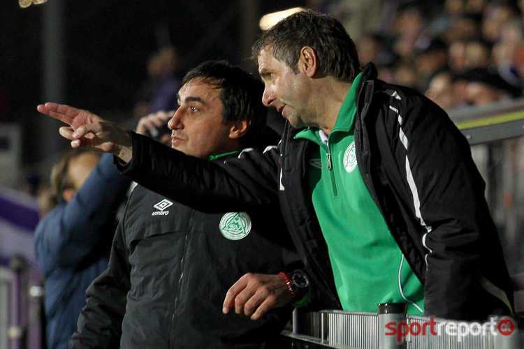Bei Mattersburg-Trainer Franz Lederer deutet alles auf den Klassenerhalt hin – Foto: © Sportreport SV Mattersburg, Franz Lederer