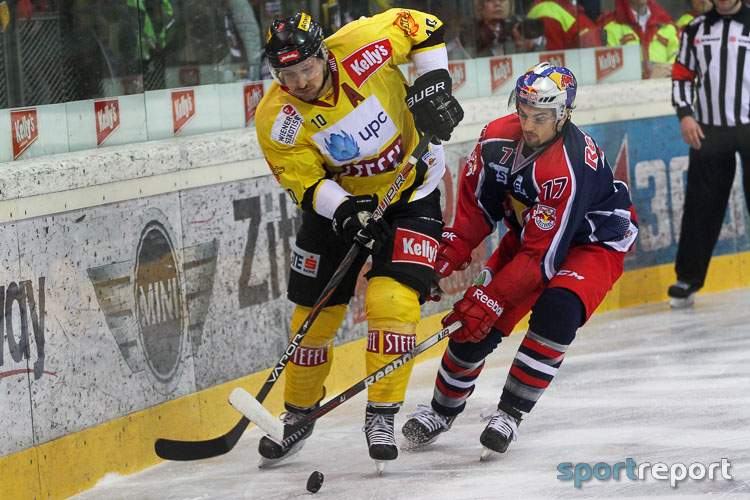Laufen die Bullen den Capitals wieder hinterher? – Foto: © Sportreport Red Bull Salzburg, Vienna Capitals