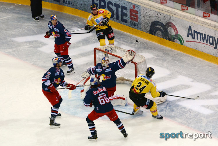 Vienna Capitals, Red Bull Salzburg