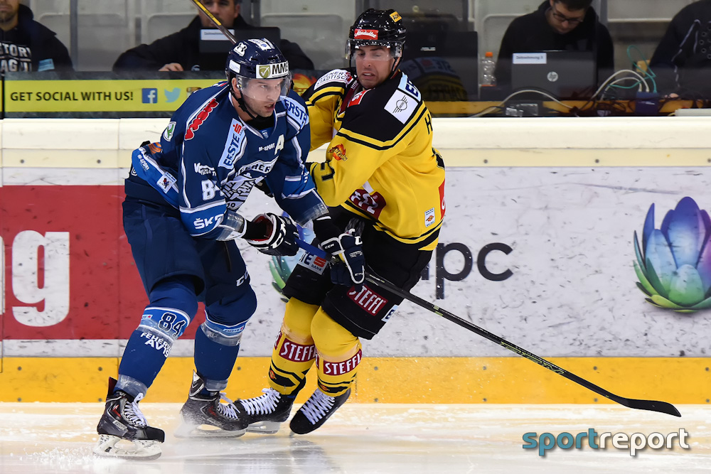 Eishockey, EBEL, Erste Bank Eishockey Liga, Vienna Capitals, Fehervar, Fehervar vs. Vienna Capitals