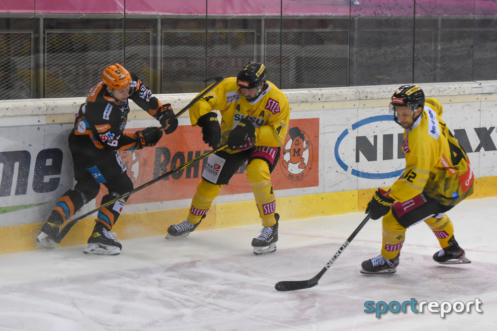 Vienna Capitals, Black Wings Linz, #VICBWL