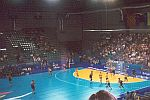  Handball