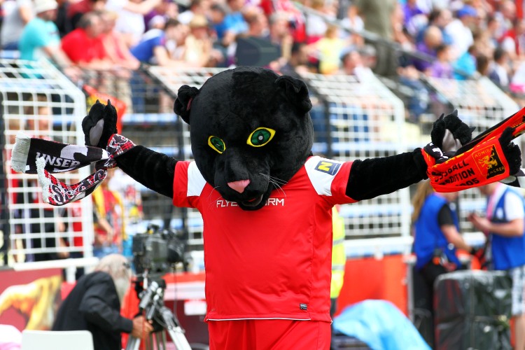 Auch Admira Maskottchen Wacki hofft auf Punkte - Foto © Sportreport admira wac