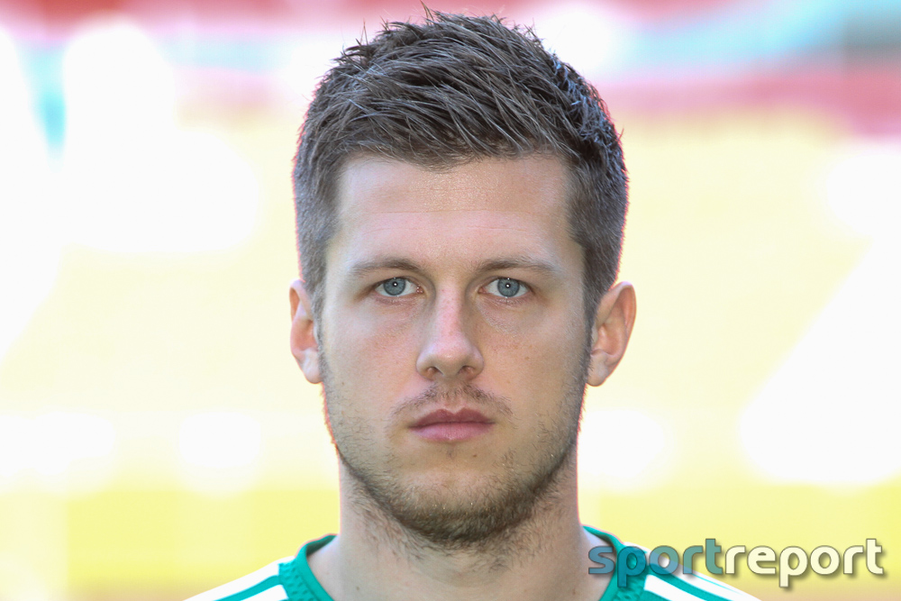 Deni Alar, Sturm Graz, FC Turin