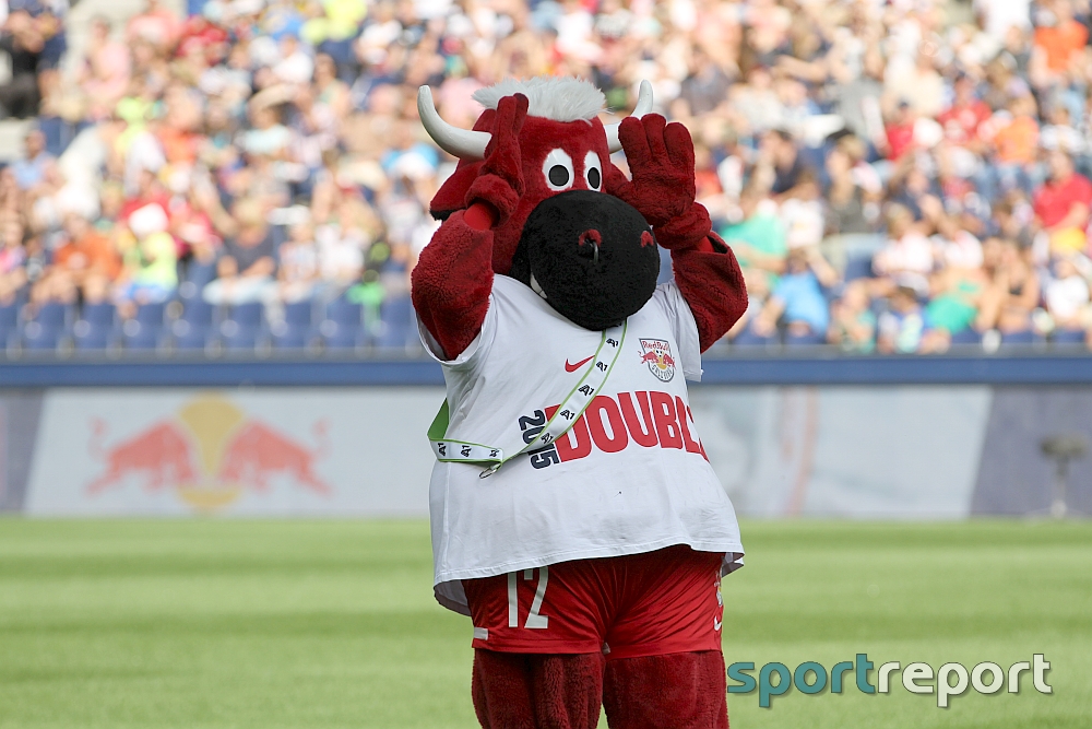 Stierwoscha Trophy: Cobras 09 dürfen gegen FC Red Bull Salzburg ran