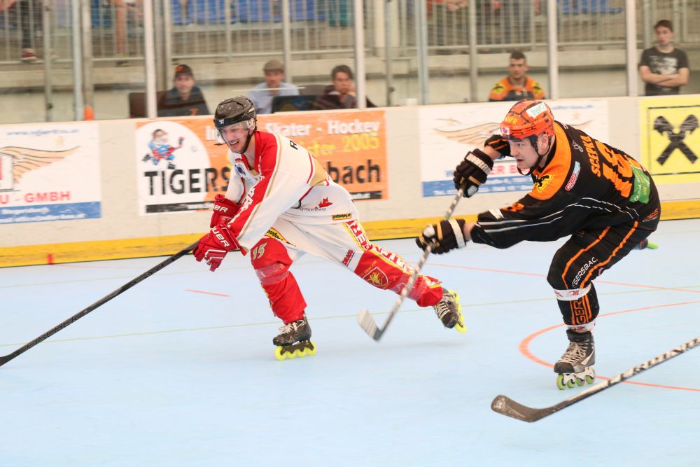 Skaterhockey, Bundesliga, Inline-Skaterhockey, Mad Dogs Wiener Neustadt, Tigers Stegersbach, Dark Vipers Salzburg, Irish Moose Linz, Swinging Monkey Stockerau, Lunatic Hockey Team Wien, Red Dragons Altenberg, Kapazunder Hockey Linz