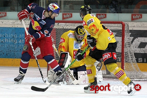 Danube Dragons starten in die Saison 2011