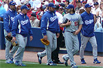 LA Dodgers © Creative Commons License  LA Dodgers © Creative Commons License