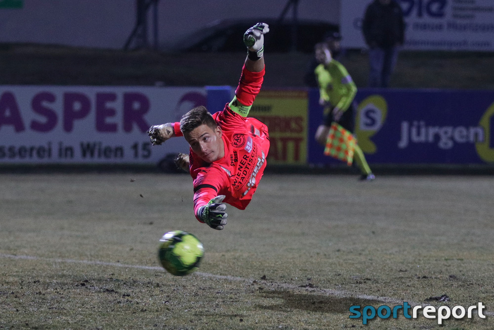 Martin Fraisl